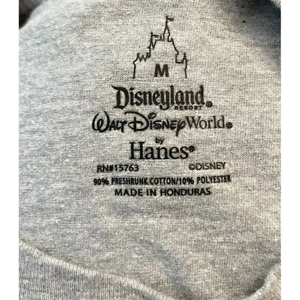 Walt Disney World Ladies Medium 2020 Long Sleeve Disneyland Gray Graphic T Shirt